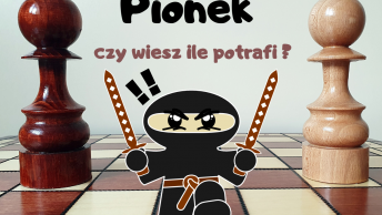 Pionek - www.gramywszachy.pl